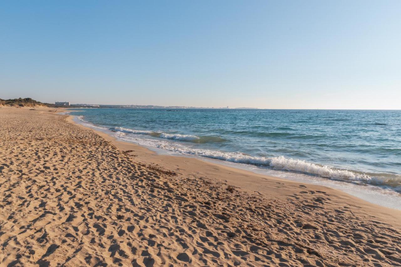 Delfino - Ampio Appartamento A 40 Metri Dalla Spiaggia Lido Conchiglia Luaran gambar